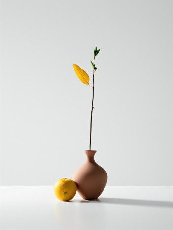 misc-minimalist