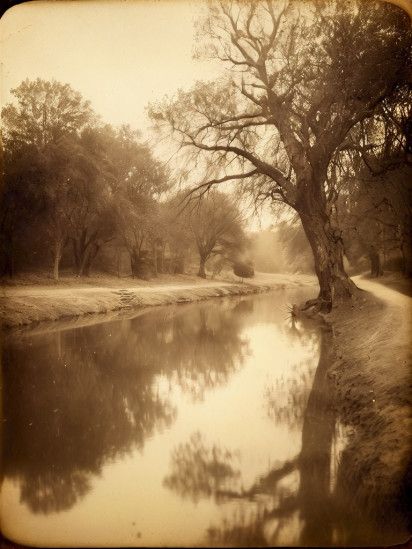 MK Albumen Print