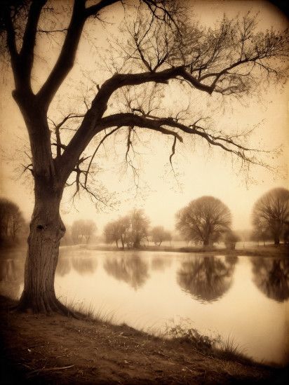 MK Albumen Print