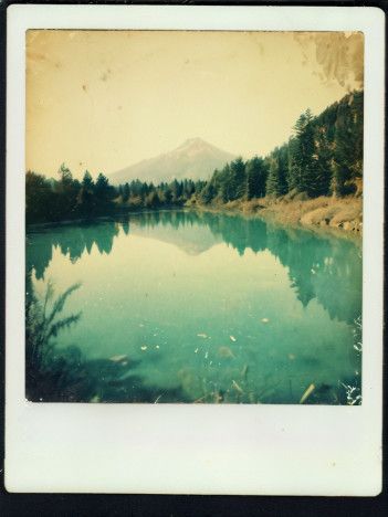 Faded Polaroid Photo