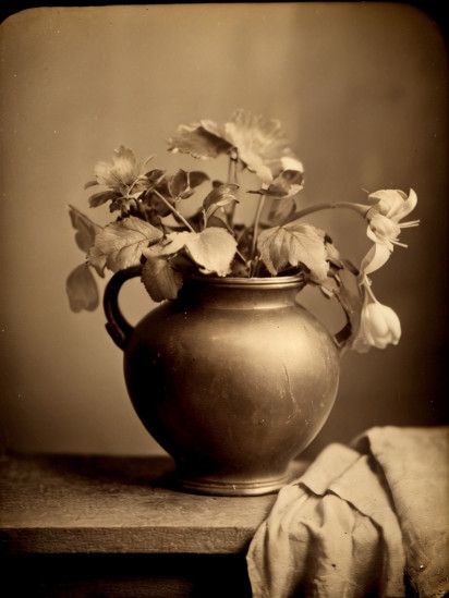 MK Albumen Print