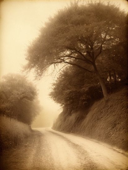 MK Albumen Print